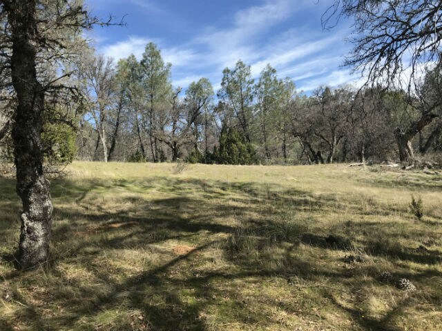 24441 Mines Rd, Livermore, CA for sale Other- Image 1 of 1