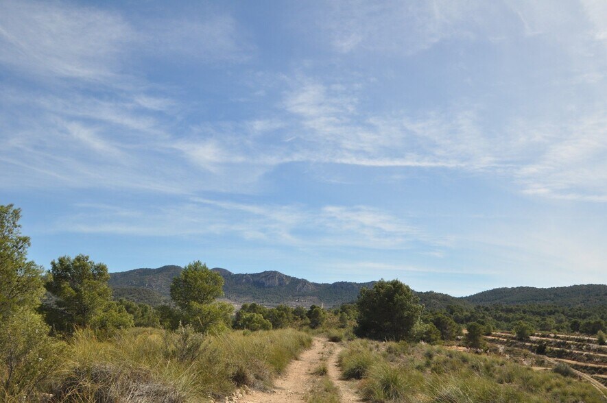 Land in Jumilla for sale - Building Photo - Image 3 of 23