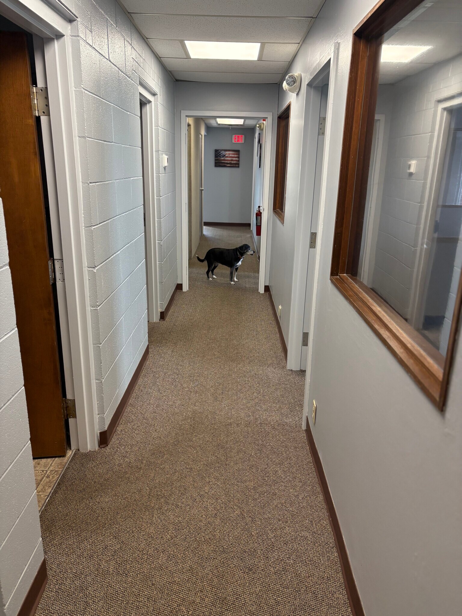 4155 Martindale Rd NE, Canton, OH for lease Building Photo- Image 1 of 7