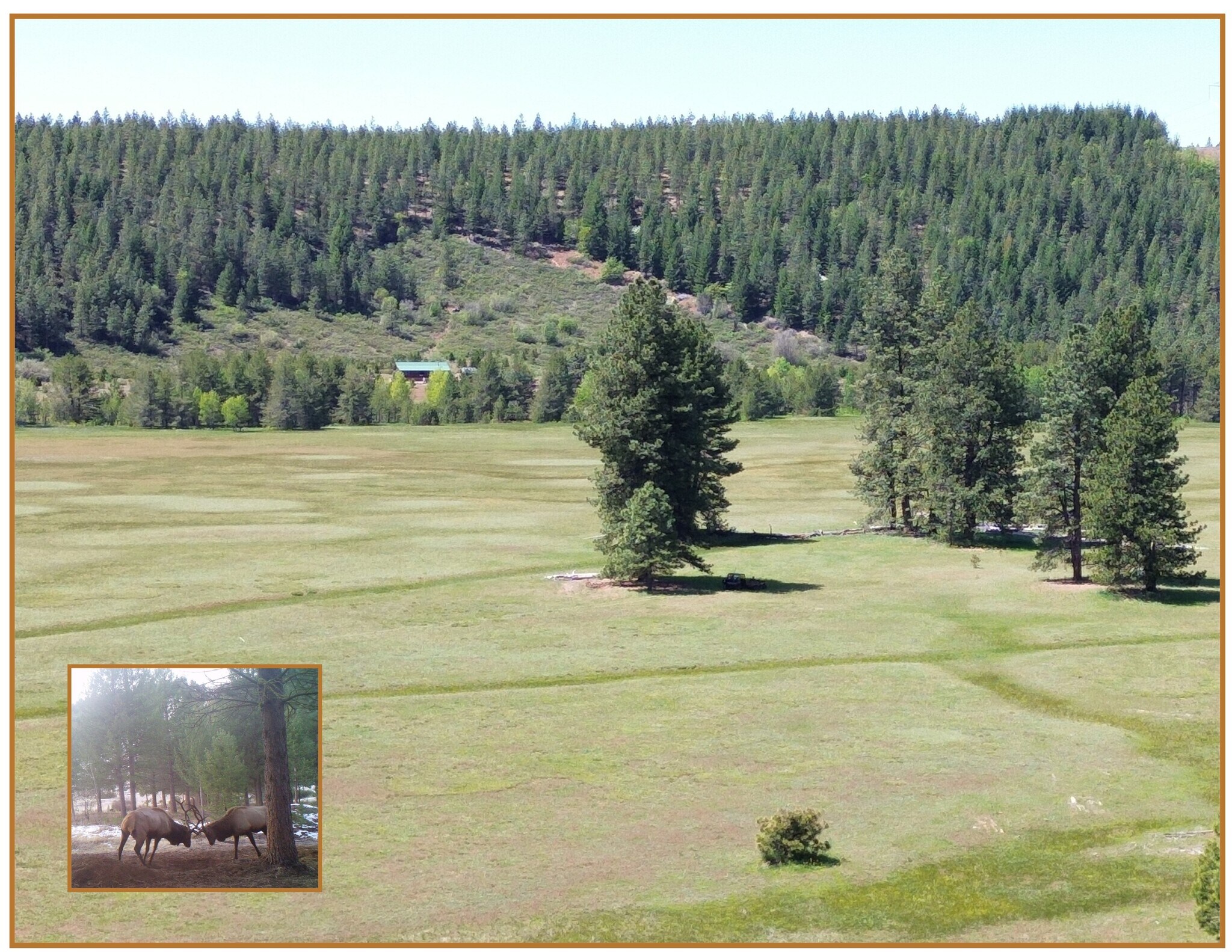 2125 Lava Road, Mccloud, CA for sale Primary Photo- Image 1 of 1