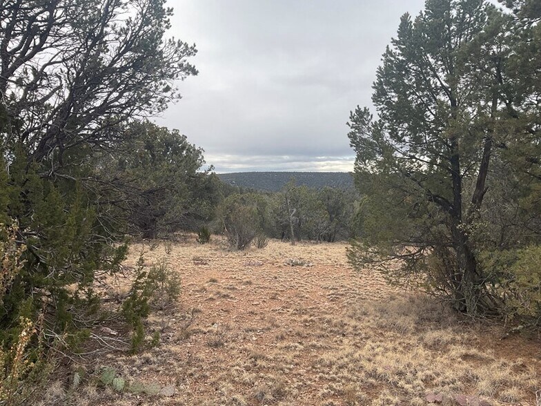 Lot 255 Ridge Runner Road, Seligman, AZ for sale - Primary Photo - Image 1 of 1