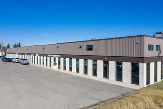 More details for 1165 44th Ave SE, Calgary, AB - Industrial for Lease