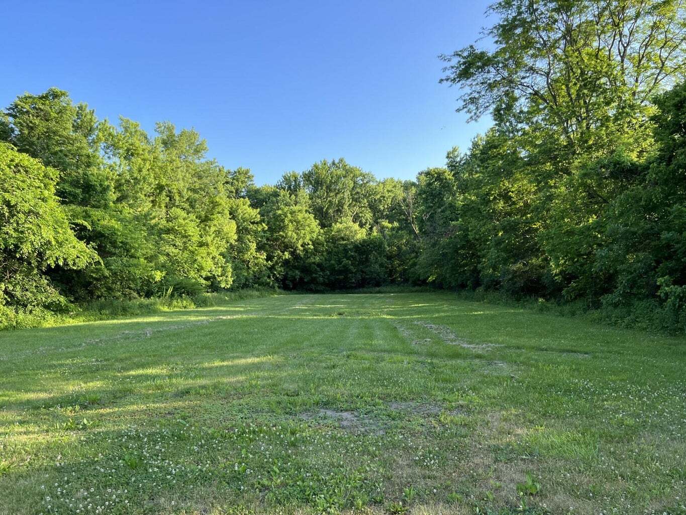 4660 Mary Ingles Highway, Silver Grove, KY 41085 Specialty for Sale