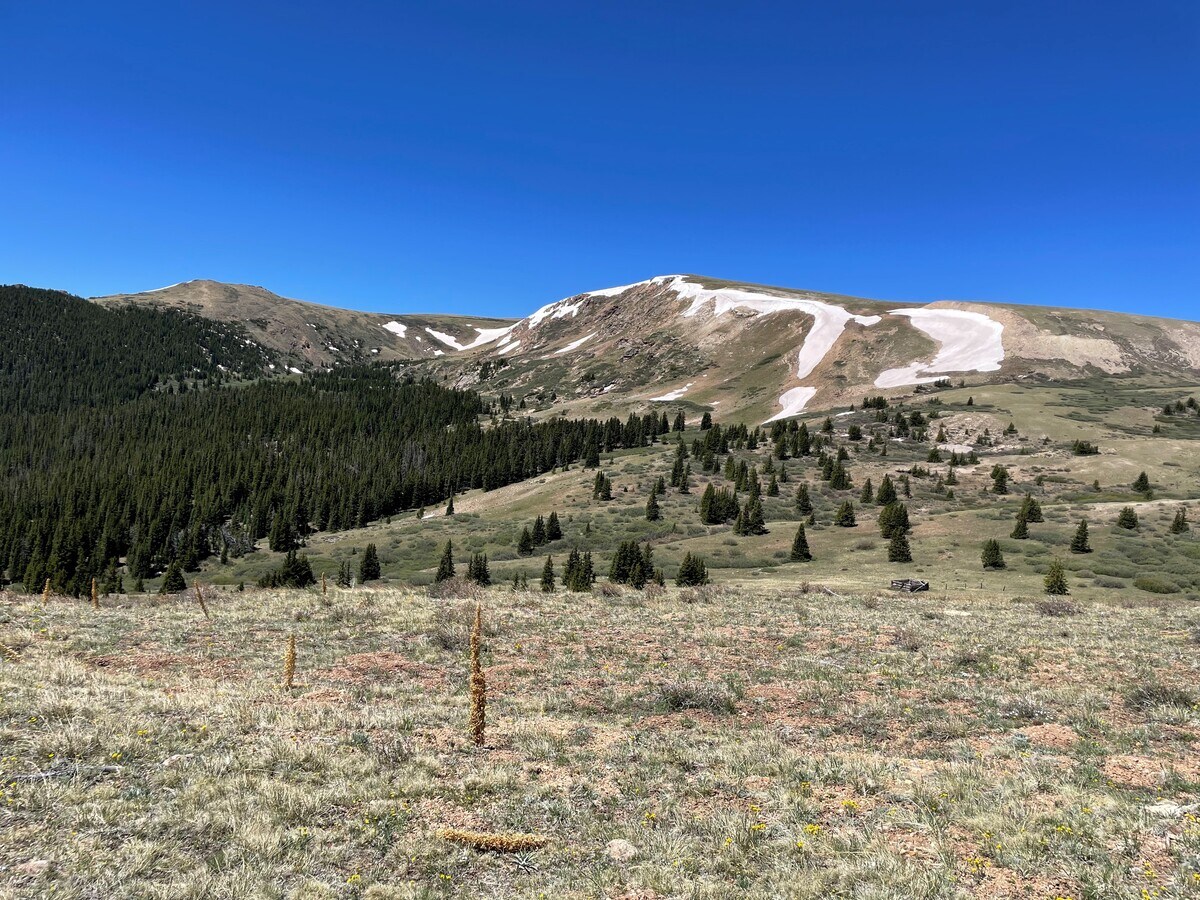 Country Road 22, Fairplay, CO 80440