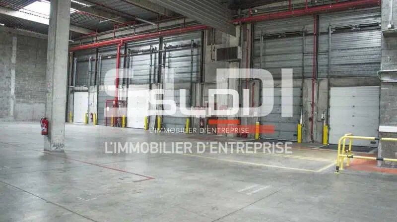 Flex in Vénissieux for lease - Interior Photo - Image 3 of 6