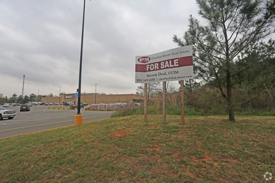 10673 Highway 5, Brent, AL for sale - Primary Photo - Image 1 of 1