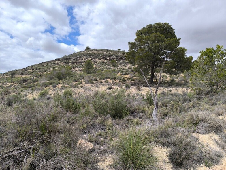 Land in PINOSO for sale - Building Photo - Image 2 of 9