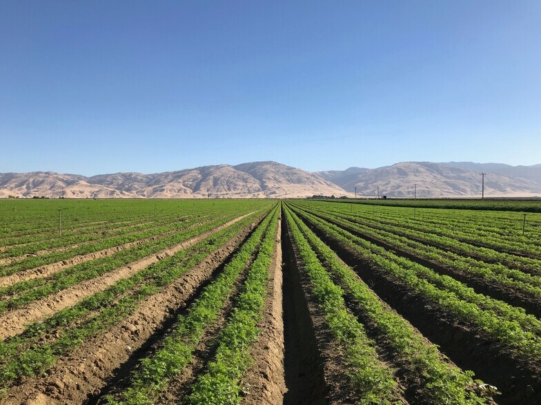 Laval, Arvin, CA for sale - Other - Image 1 of 1