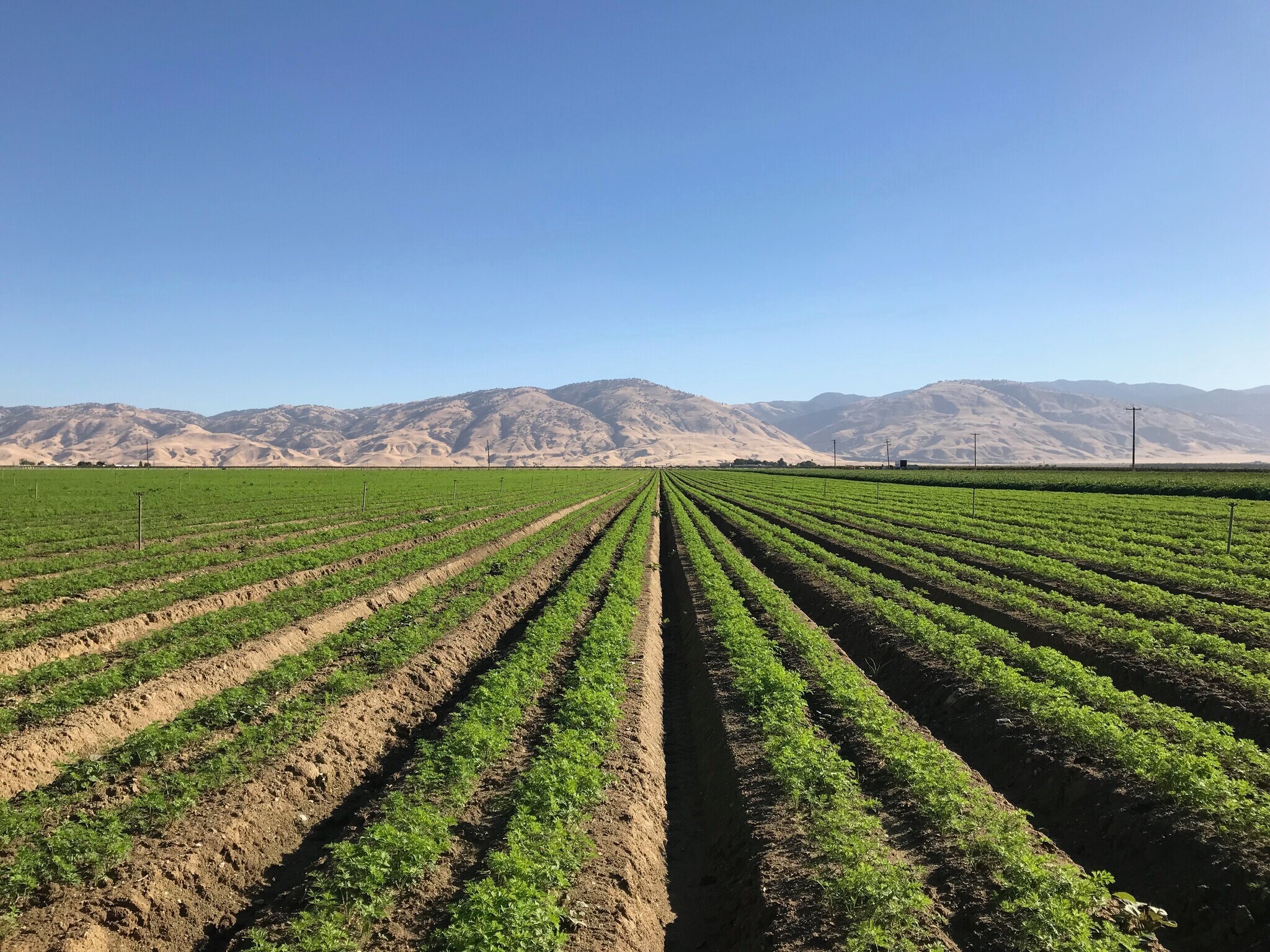 Laval, Arvin, CA for sale Other- Image 1 of 1