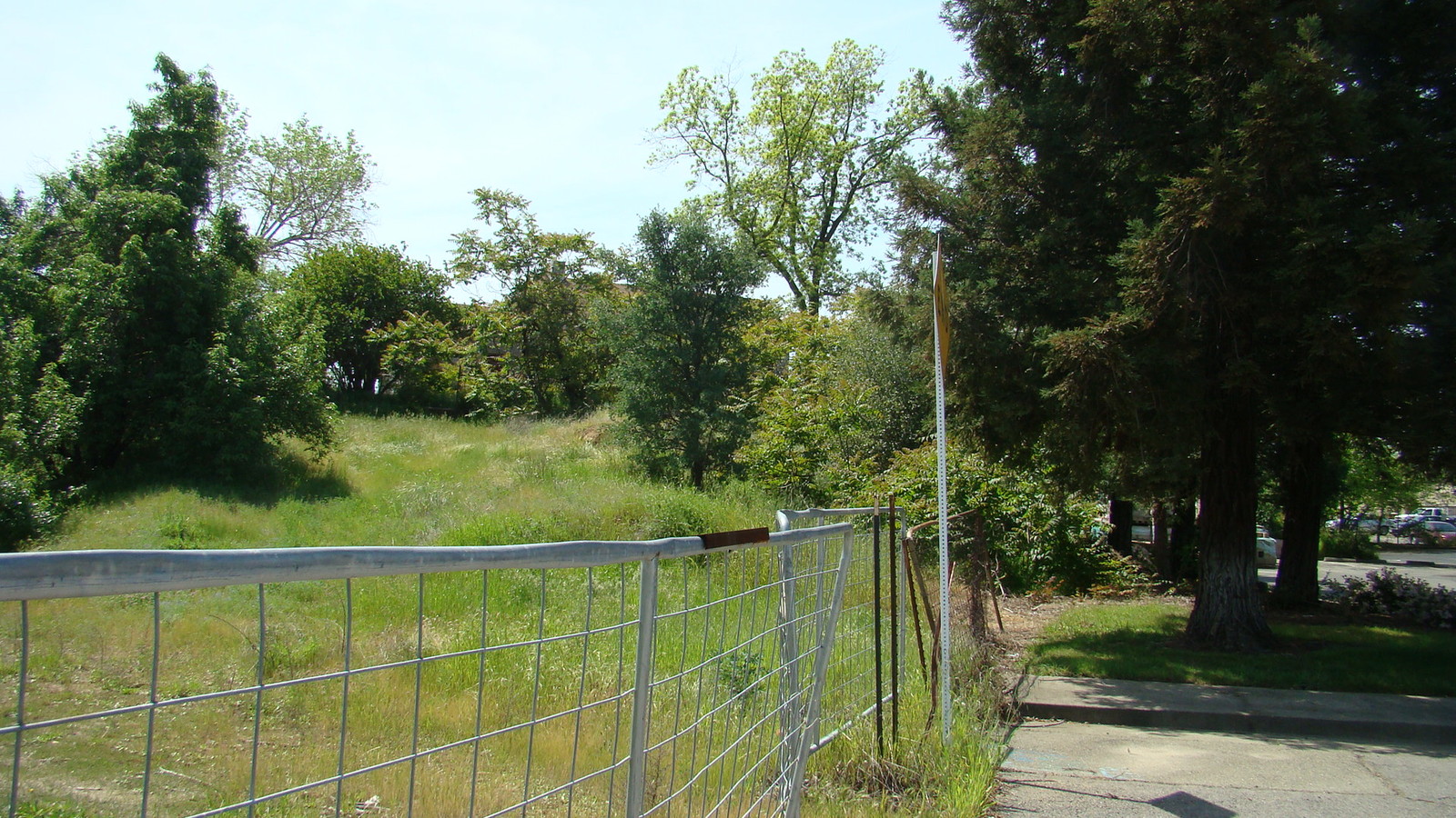 View Photo