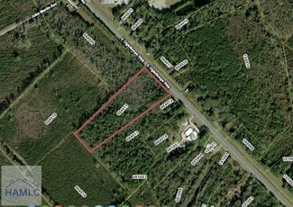 More details for 9.33 AC East Oglethorpe Highway, Flemington, GA - Land for Sale