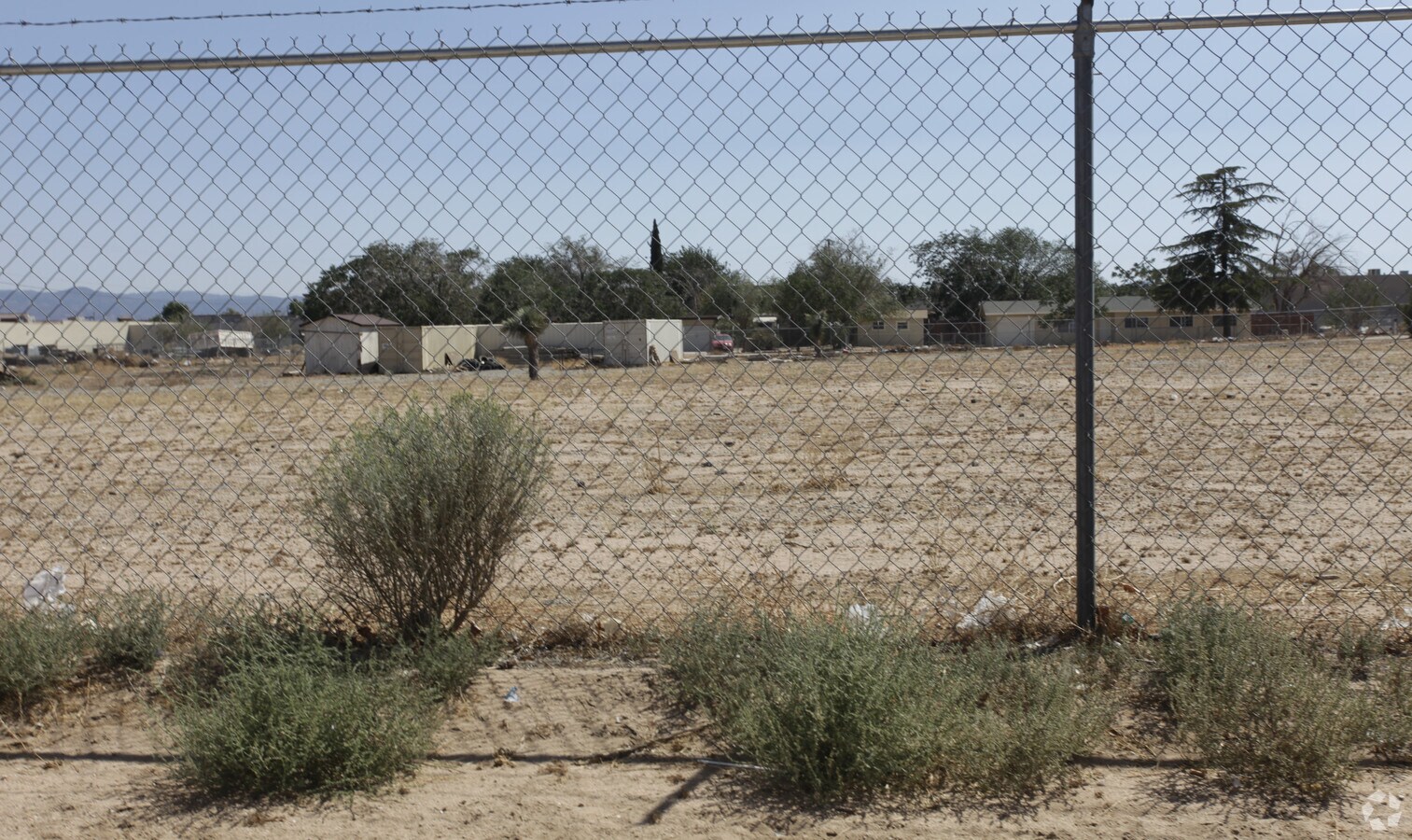 Primary Photo