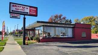 More details for 20804 Plymouth Rd, Detroit, MI - Retail for Sale