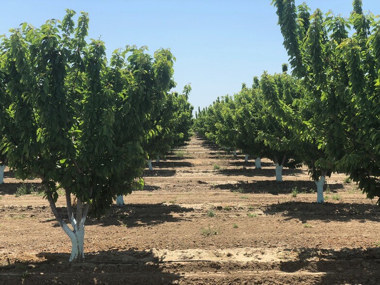 Hanford Armona Road, Hanford, CA for sale - Building Photo - Image 2 of 3