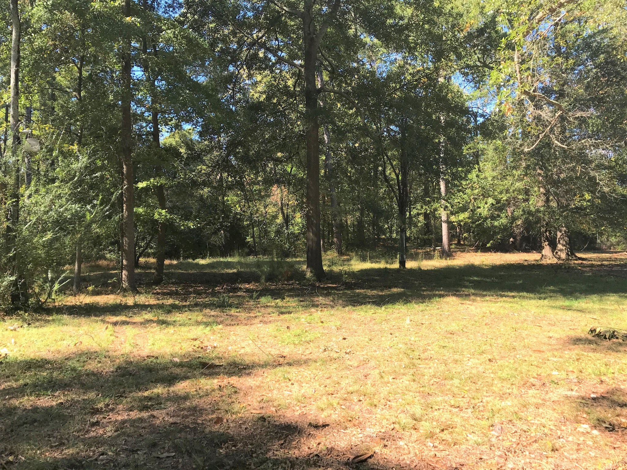 2421 Snapfinger Rd, Decatur, GA for sale Other- Image 1 of 1