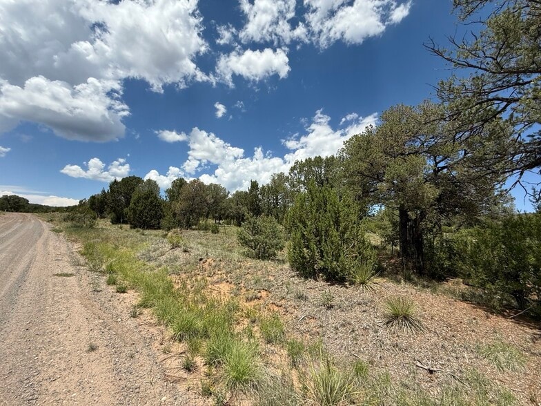44 Forest 321 Rd, Estancia, NM for sale - Building Photo - Image 3 of 32