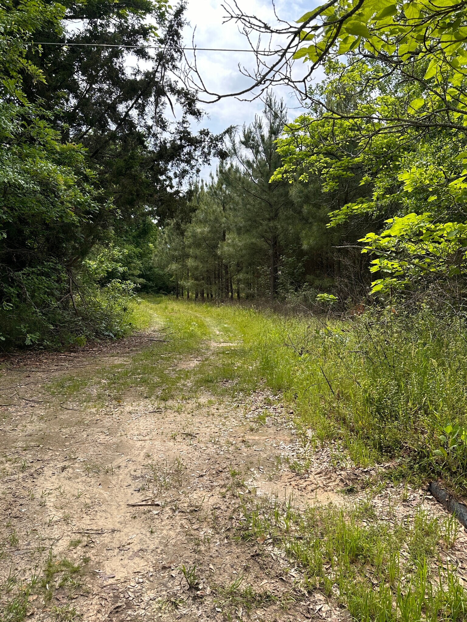 4521 Gregg Tex Rd, Longview, TX for sale Interior Photo- Image 1 of 8