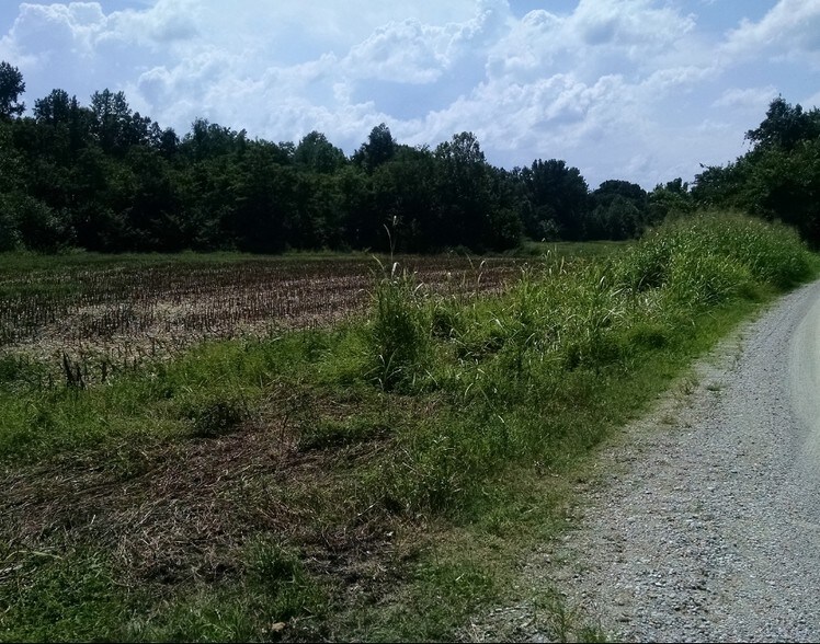 731 Pittman Rd, Somerville, TN 38068