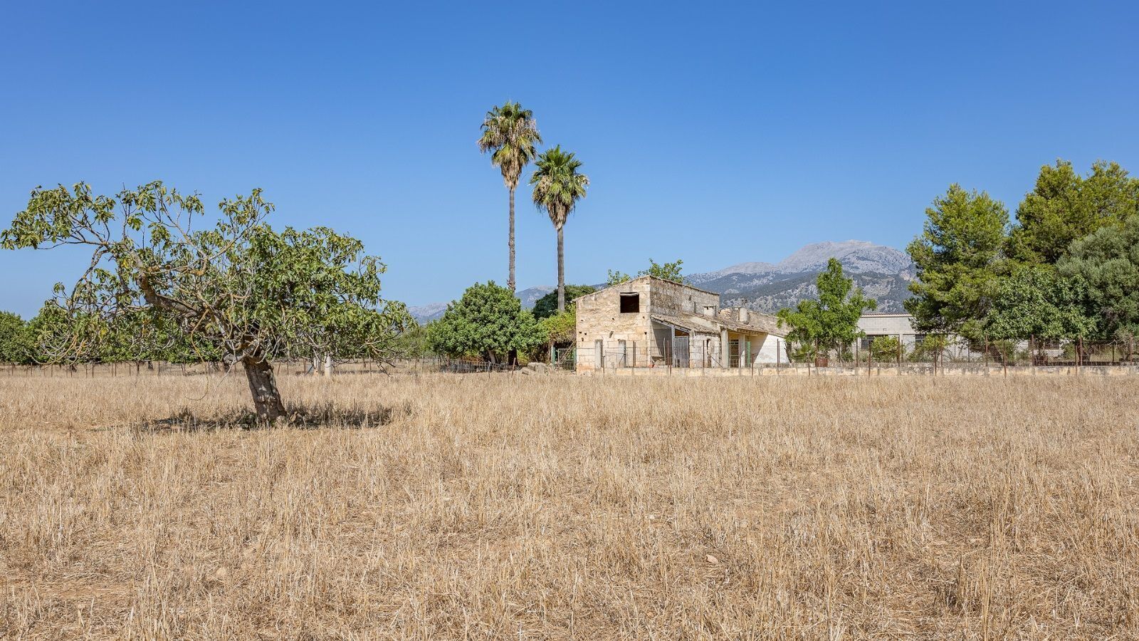 Industrial in Campanet for sale Building Photo- Image 1 of 42