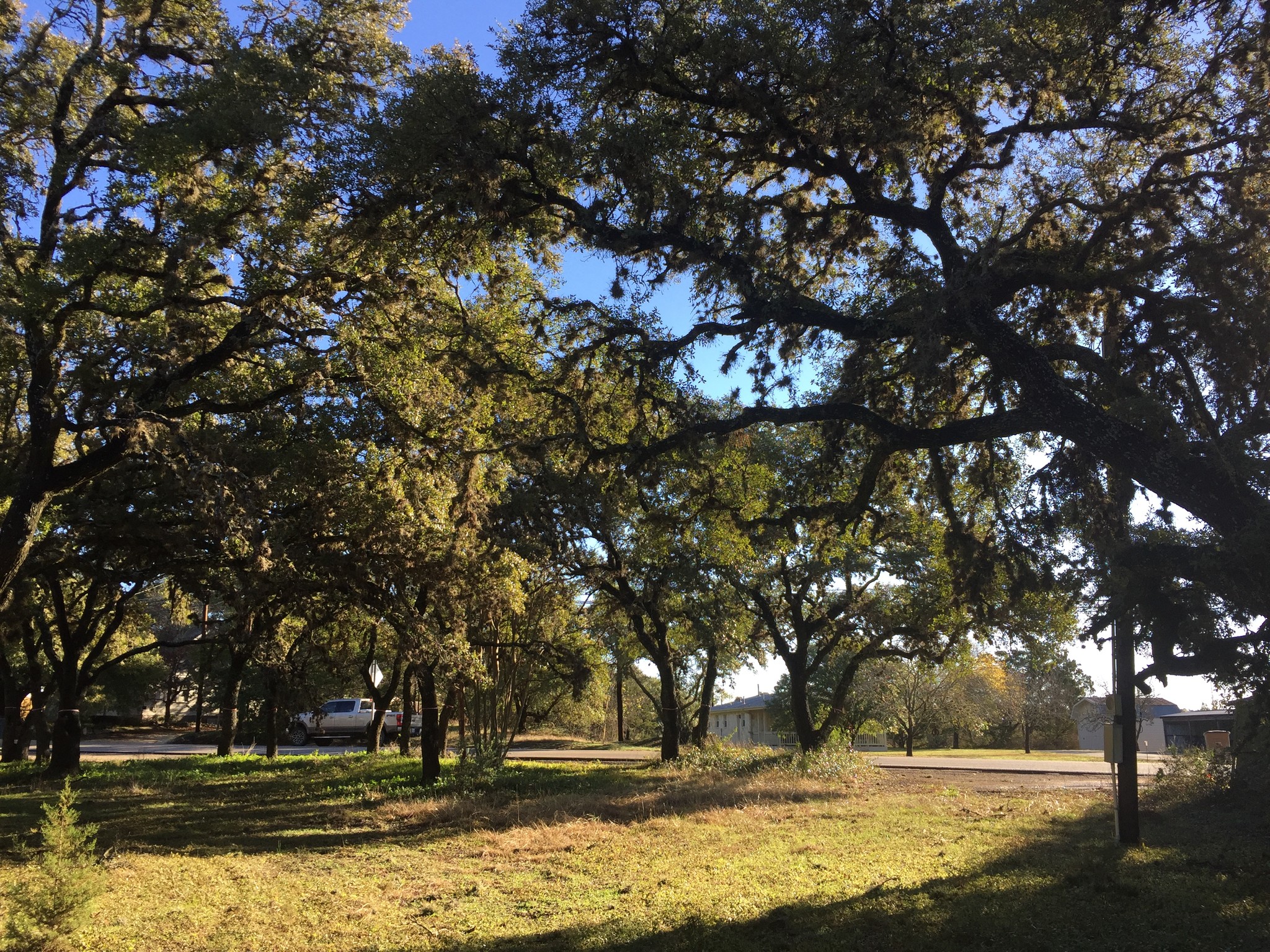 731 Old Fitzhugh Rd, Dripping Springs, TX for sale Other- Image 1 of 1