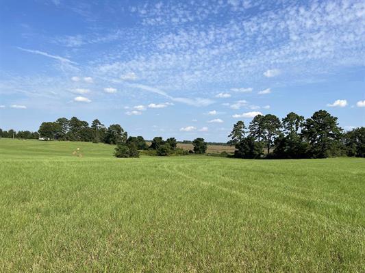 Red Dog Farm Road, Cochran, GA for sale - Other - Image 1 of 1