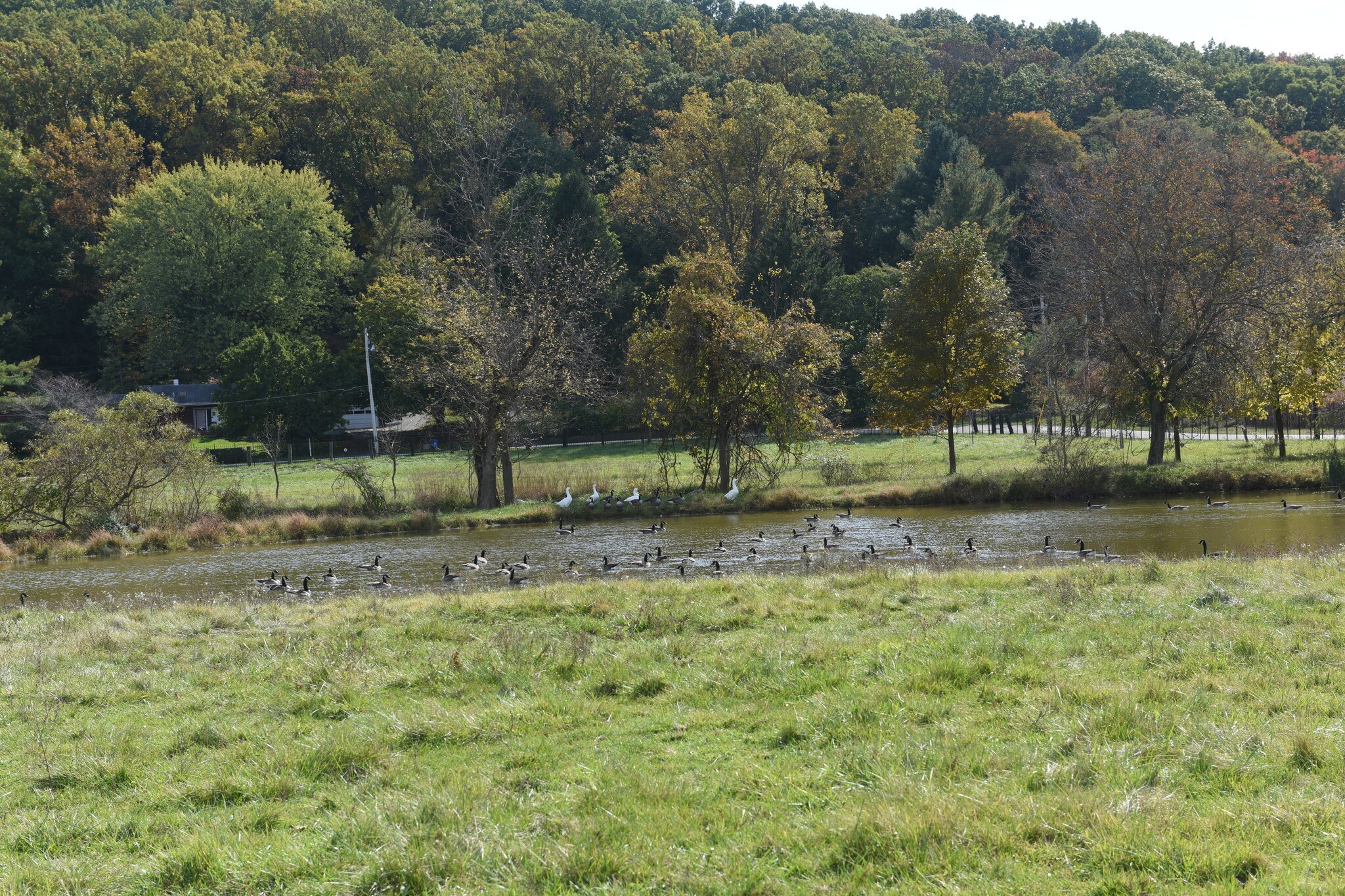 Old Valley Rd, Stevenson, MD for sale Primary Photo- Image 1 of 1