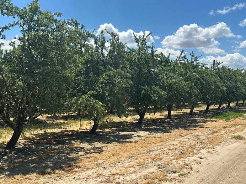 Manning & Jameson Avenue, Fresno, CA for sale - Building Photo - Image 2 of 16