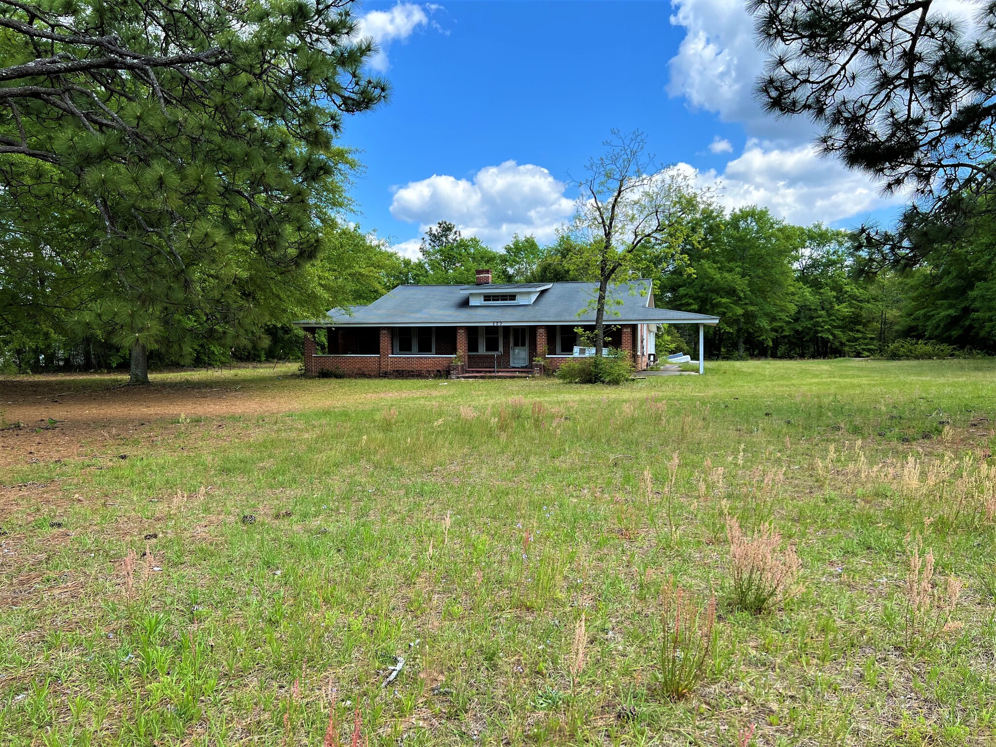 223 Pine St, Pelion, SC for sale Primary Photo- Image 1 of 1