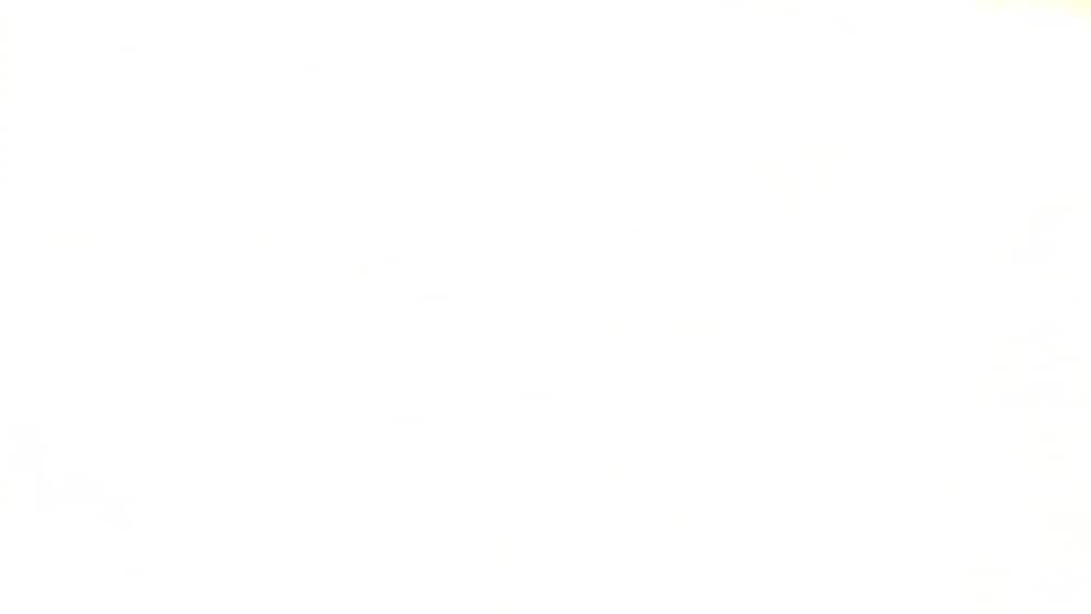 22358 Bridgeville hwy, Seaford, DE for sale - Commercial Listing Video - Image 2 of 4