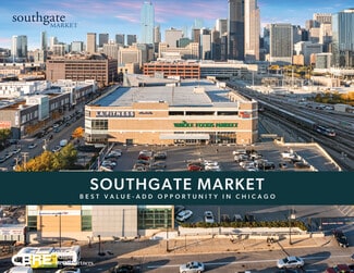 More details for 1101 S Canal St, Chicago, IL - Retail for Sale