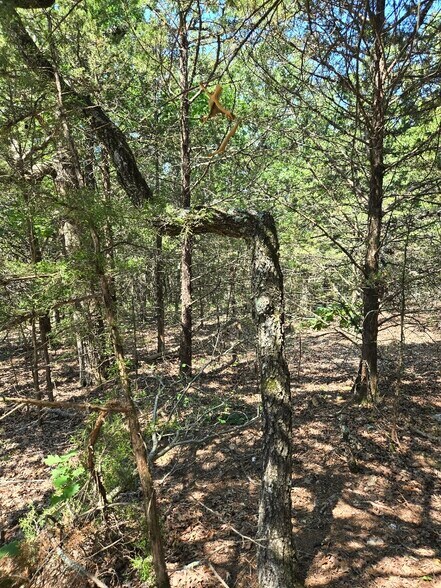 20765 State Highway 42, Belle, MO for sale - Other - Image 3 of 6