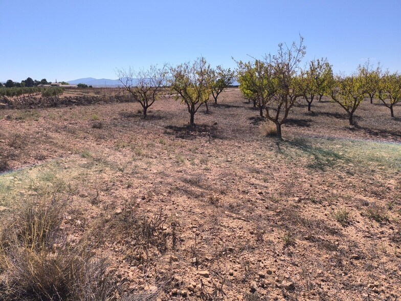 Land in PINOSO for sale - Building Photo - Image 1 of 10