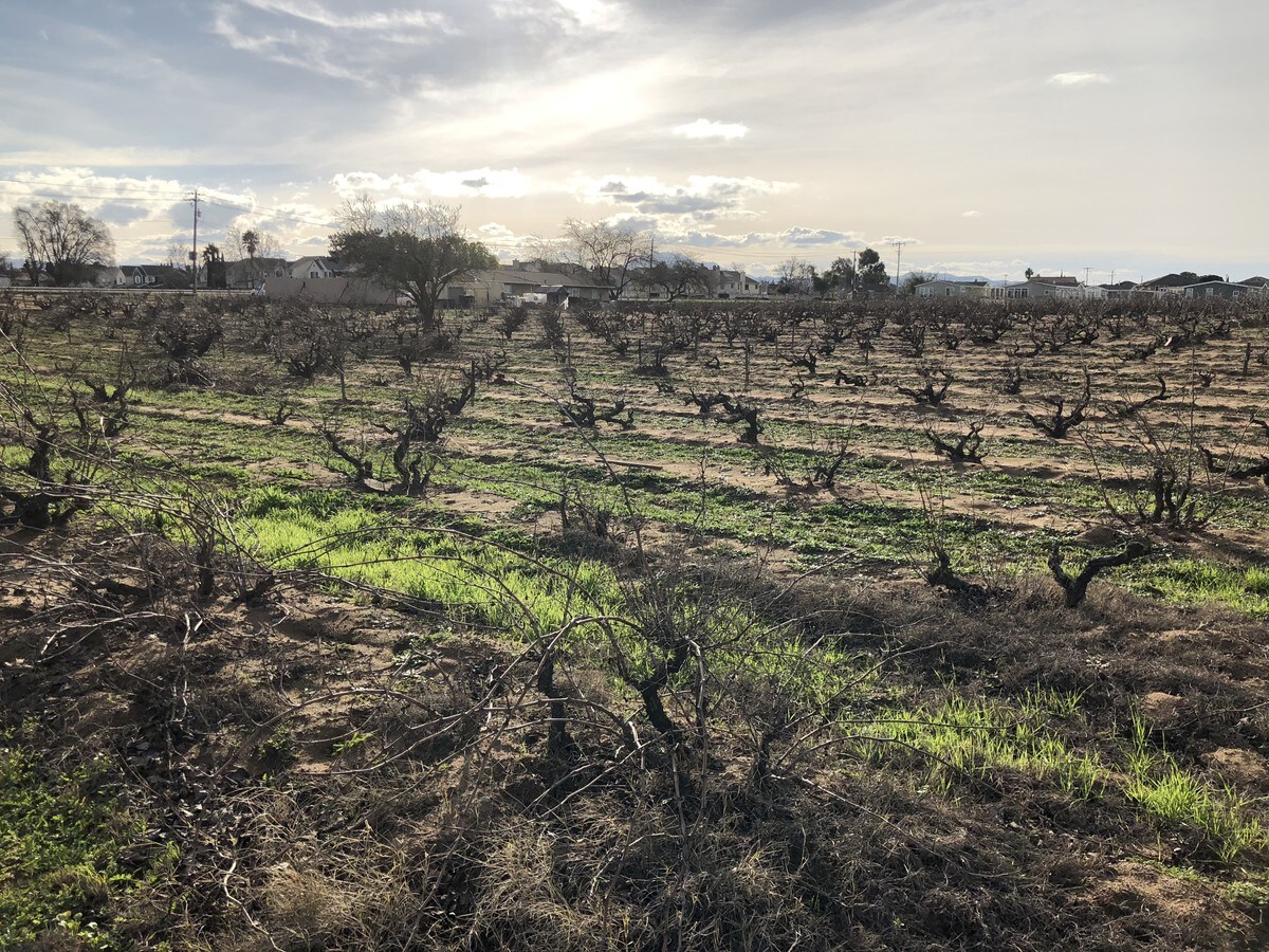 2092 Oakley Rd, Oakley, CA 94561