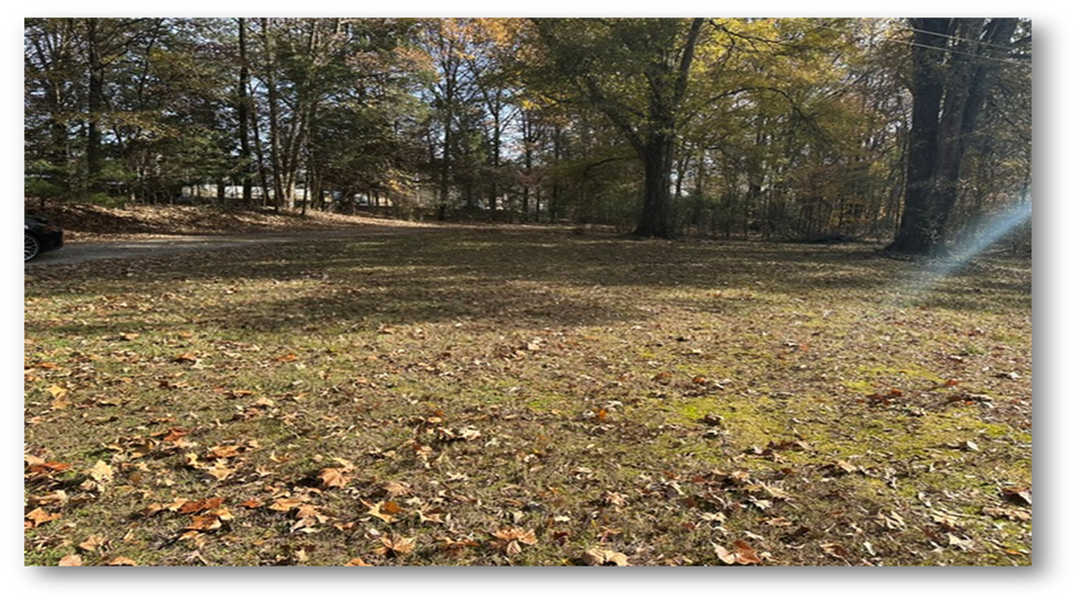 7520 Macon Rd, Cordova, TN for sale - Building Photo - Image 3 of 6