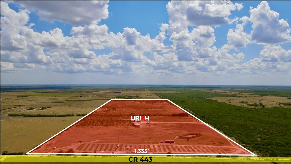 80 Acres on CR 443, George West, TX for sale - Primary Photo - Image 1 of 1