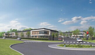 More details for Sans Nom, Persan - Flex for Sale