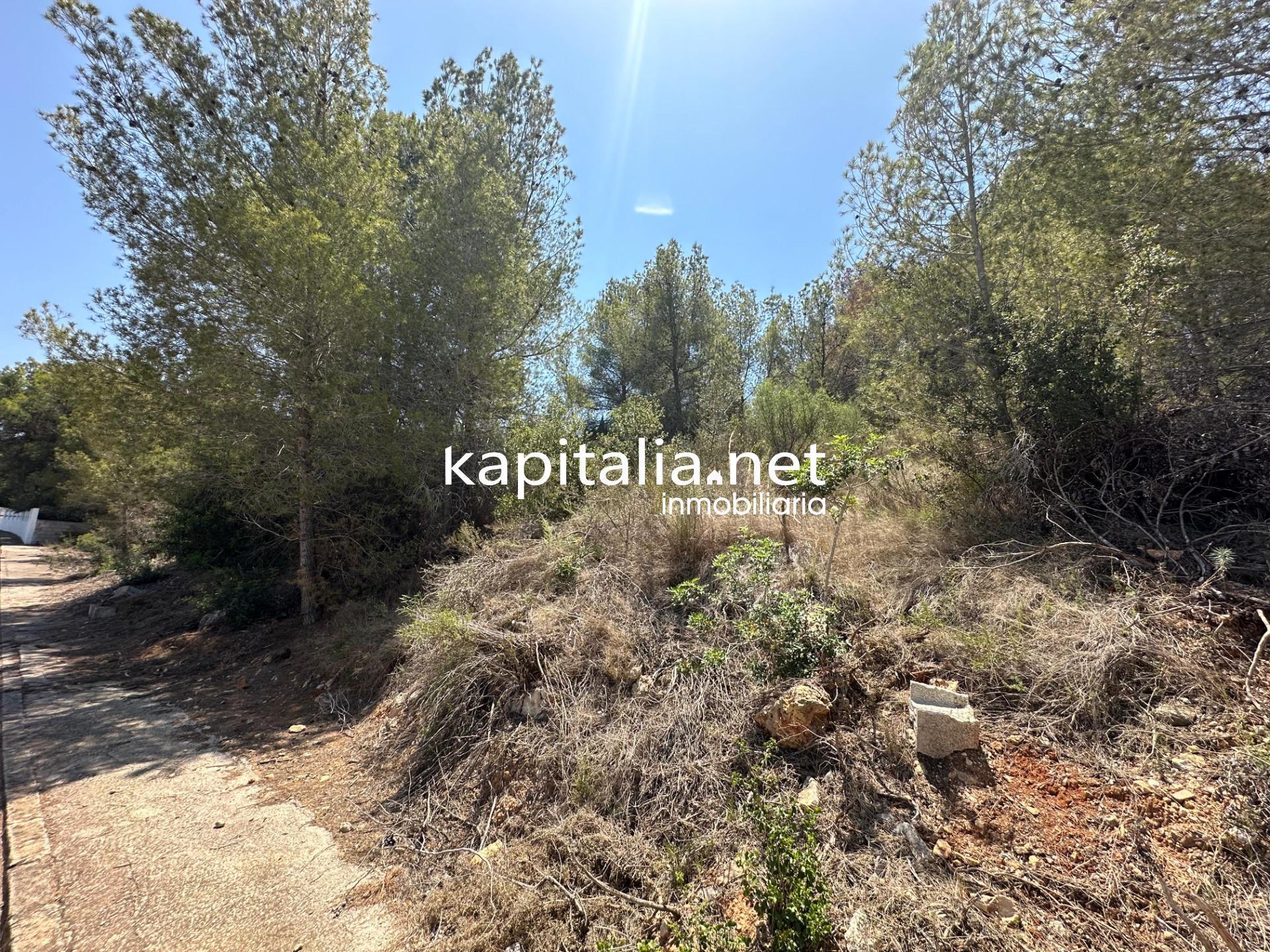 Land in San Cristóbal de La Laguna, Santa Cruz de Tenerife for sale Building Photo- Image 1 of 6