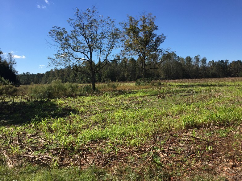 Irma Ln, Loris, SC for sale - Other - Image 1 of 1