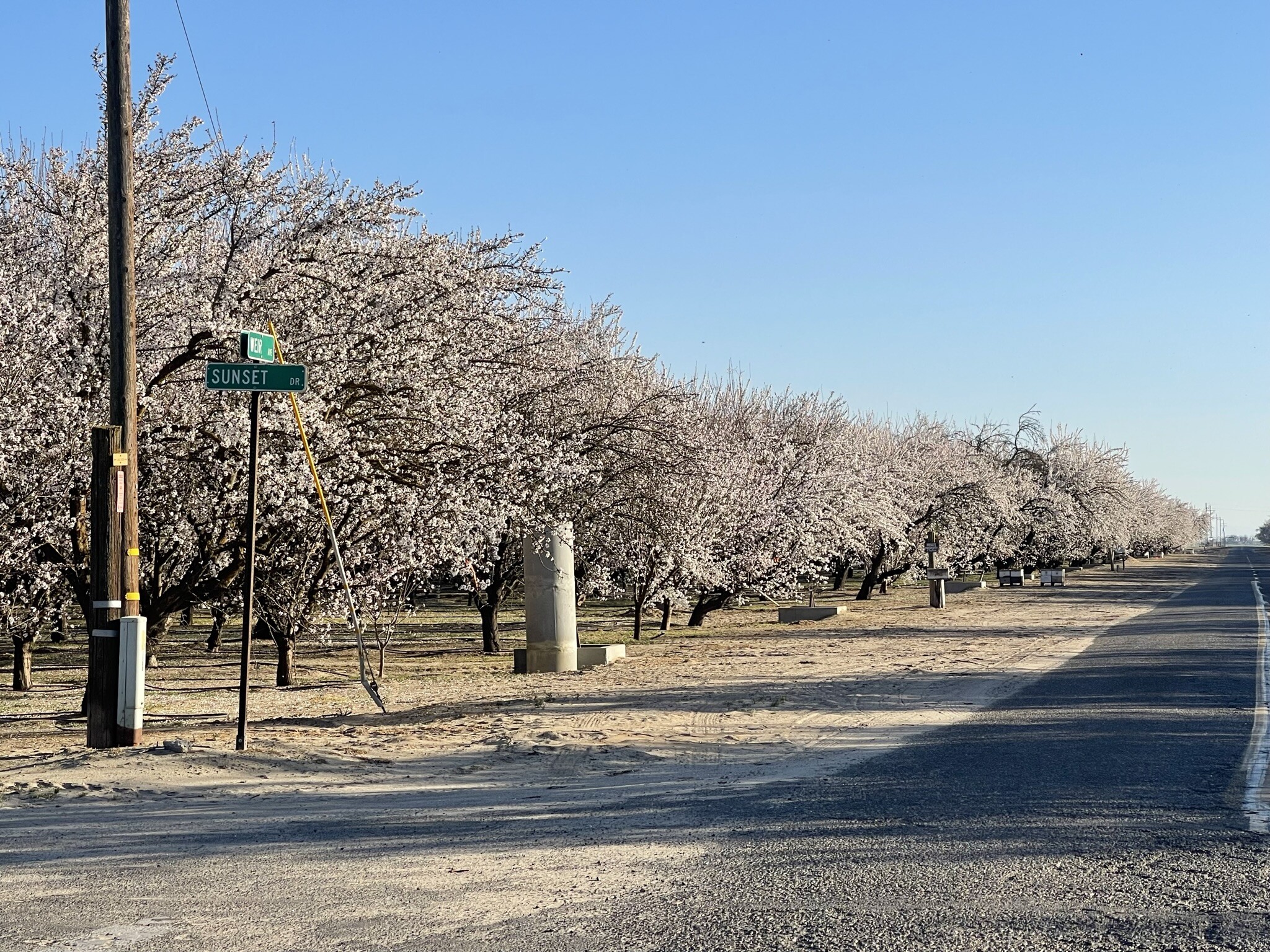 Land in Livingston, CA for sale Primary Photo- Image 1 of 1