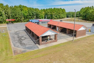 More details for 307 Van Lingle Mungo blvd, Pageland, SC - Retail for Sale