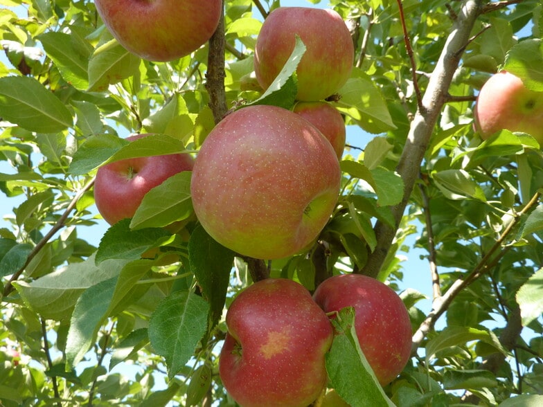 157 Hergenrider Rd, Bridger, MT for sale - Building Photo - Image 1 of 52