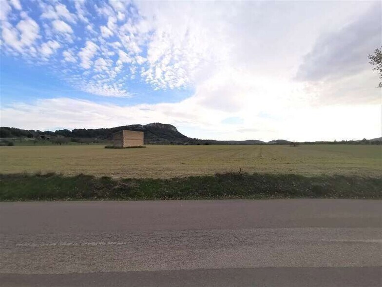 Land in Sineu for sale - Building Photo - Image 3 of 6