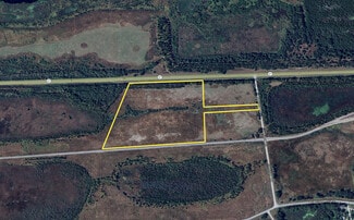 More details for 0 Highway 37, Mulberry, FL - Land for Sale