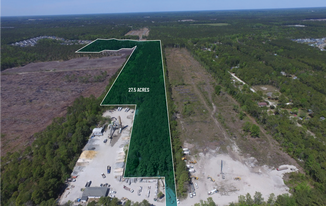 27.5 Acres Loblolly Lane - Land