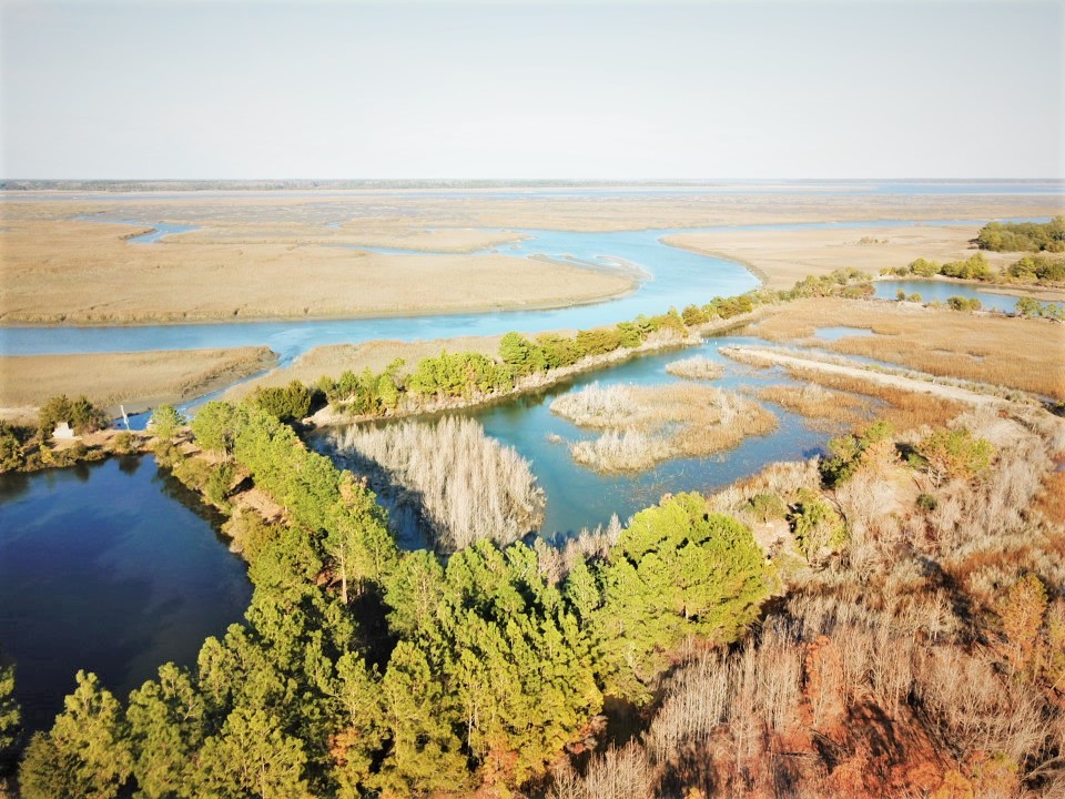 7688 Russell Creek Rd, Edisto Island, SC for sale Other- Image 1 of 1