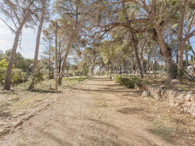 Land in Torredembarra, Tarragona for sale - Other - Image 3 of 6