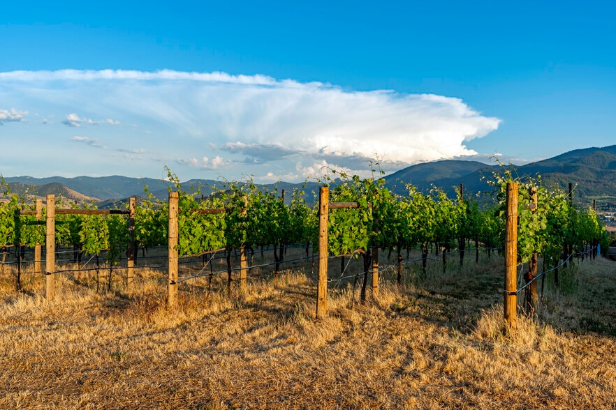 786 Pompadour Dr, Ashland, OR for sale - Building Photo - Image 3 of 83