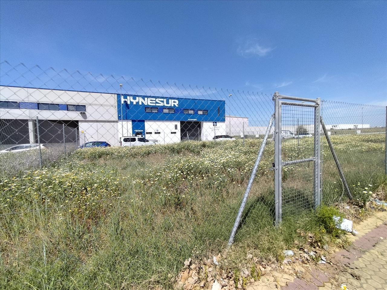 Land in Alcalá de Guadaíra for sale Building Photo- Image 1 of 24