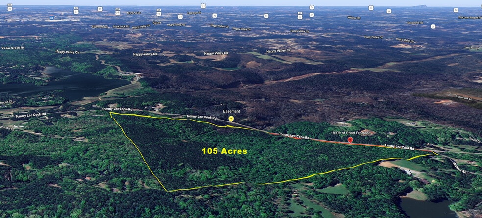 3201 Tommy Lee Cook Rd, Newnan, GA for sale - Aerial - Image 2 of 8