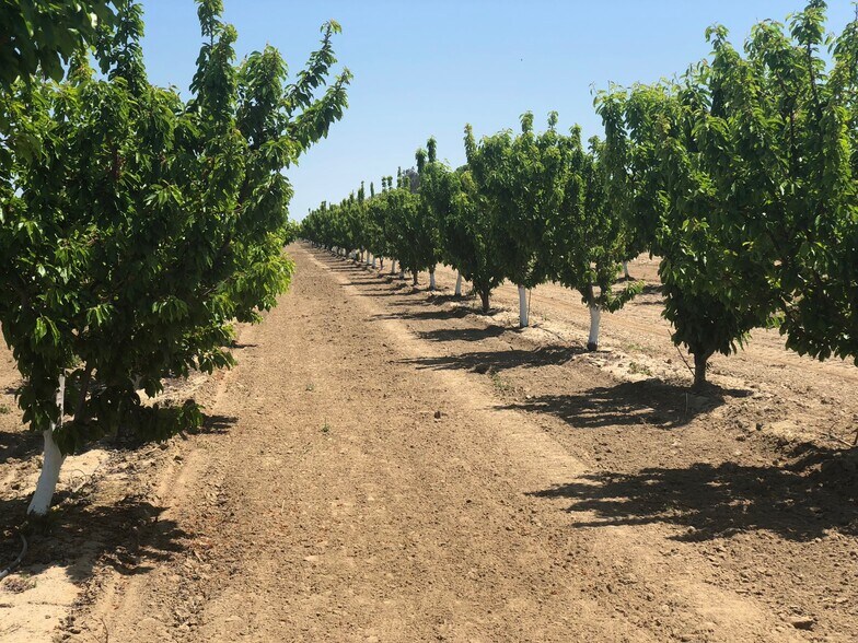 Hanford Armona Road, Hanford, CA 93230 15 Acres Cherries